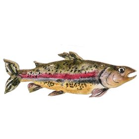 Στοιχείο Ψαράς